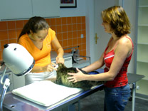 � tier-med.at