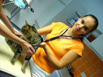 � tier-med.at