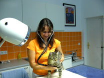 � tier-med.at